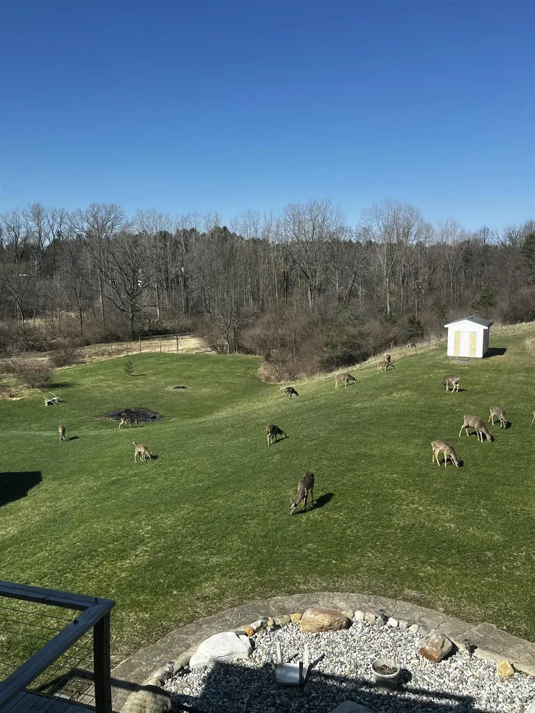 10164 Gale Road Atlas Township MI 48438