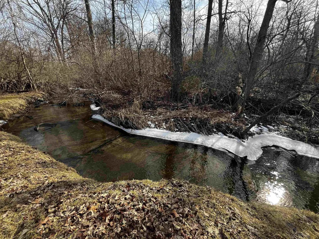 10164 Gale Road Atlas Township MI 48438