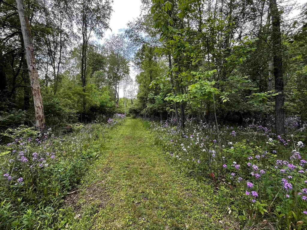 10164 Gale Road Atlas Township MI 48438