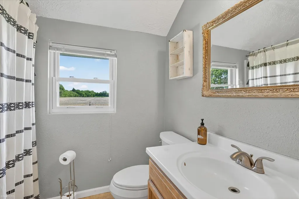 3705 Shaftsburg Road Sciota Township MI 48848