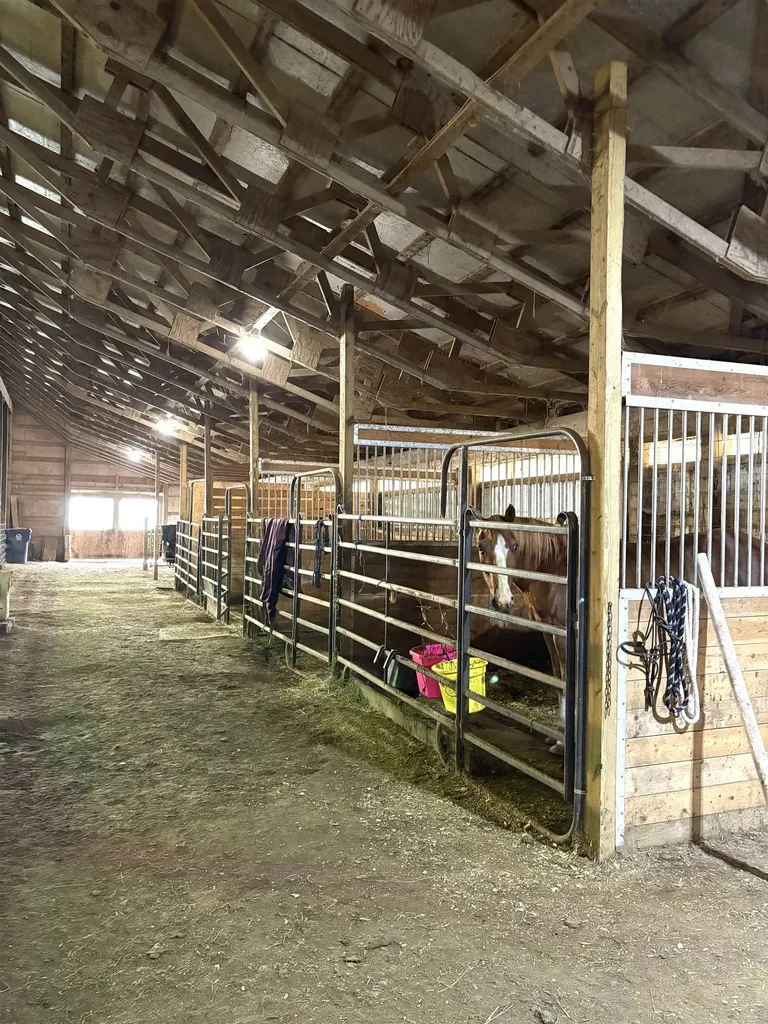 8680 Parks Road Ovid Township MI 48866