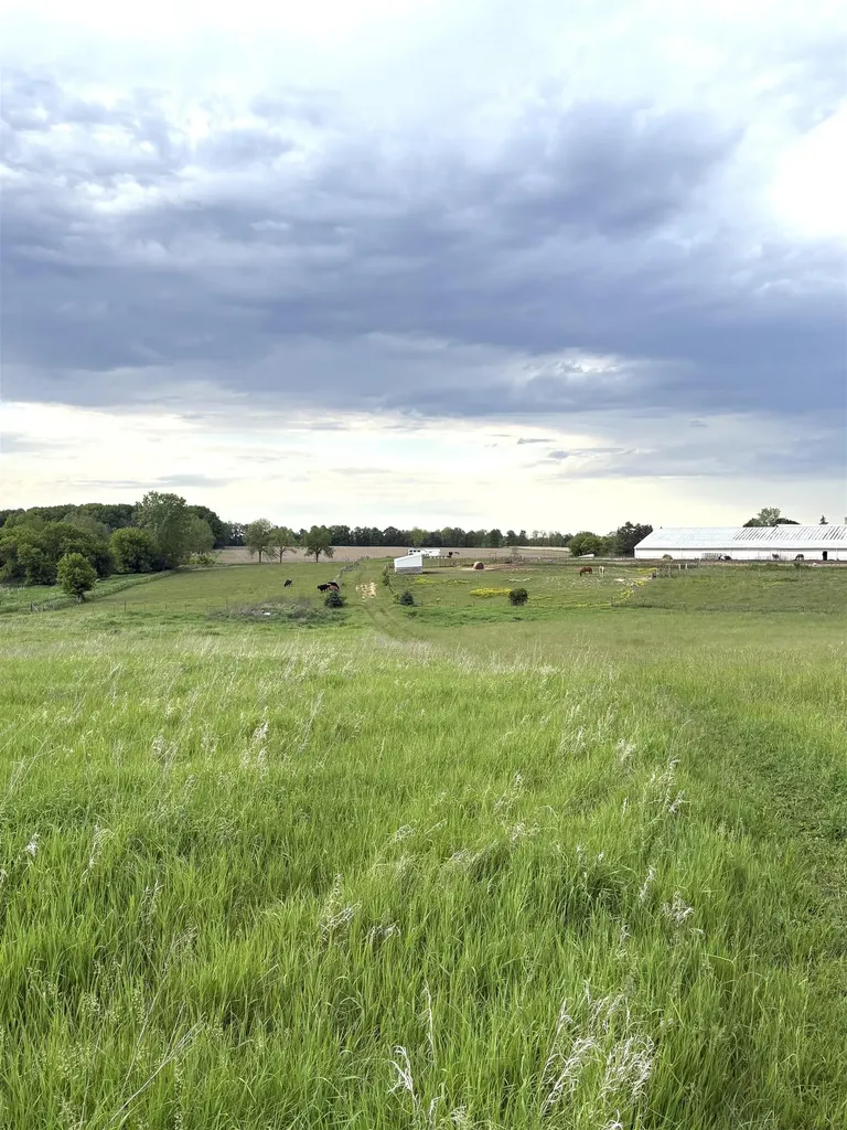 8680 Parks Road Ovid Township MI 48866