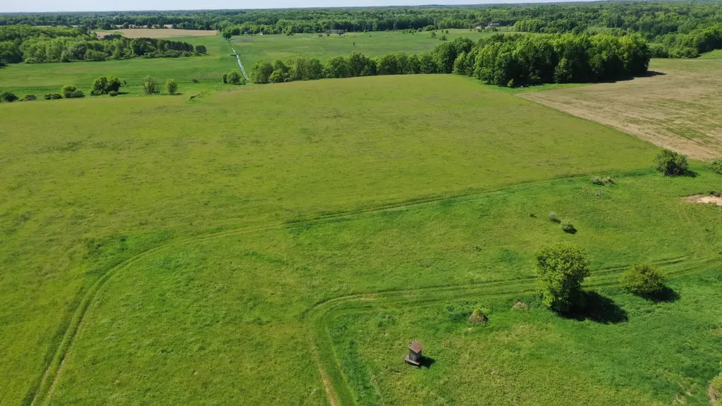 8680 Parks Road Ovid Township MI 48866