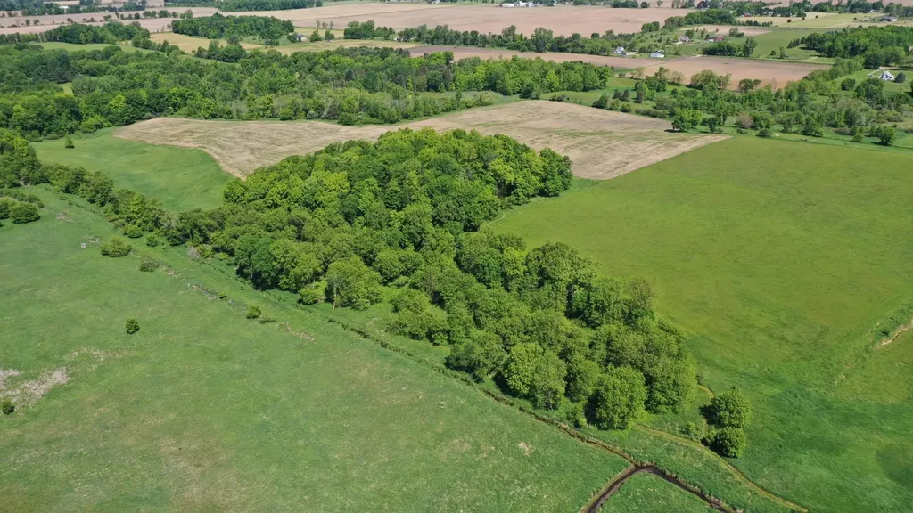 8680 Parks Road Ovid Township MI 48866