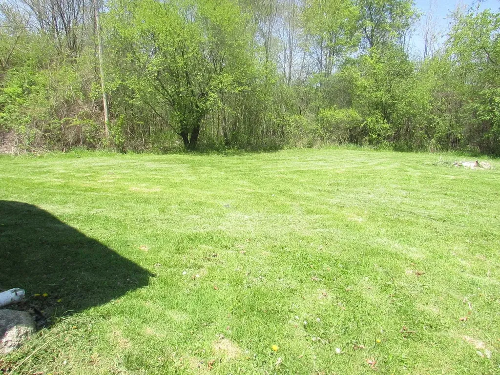 15112 Blueberry Drive Holly Township MI 48442