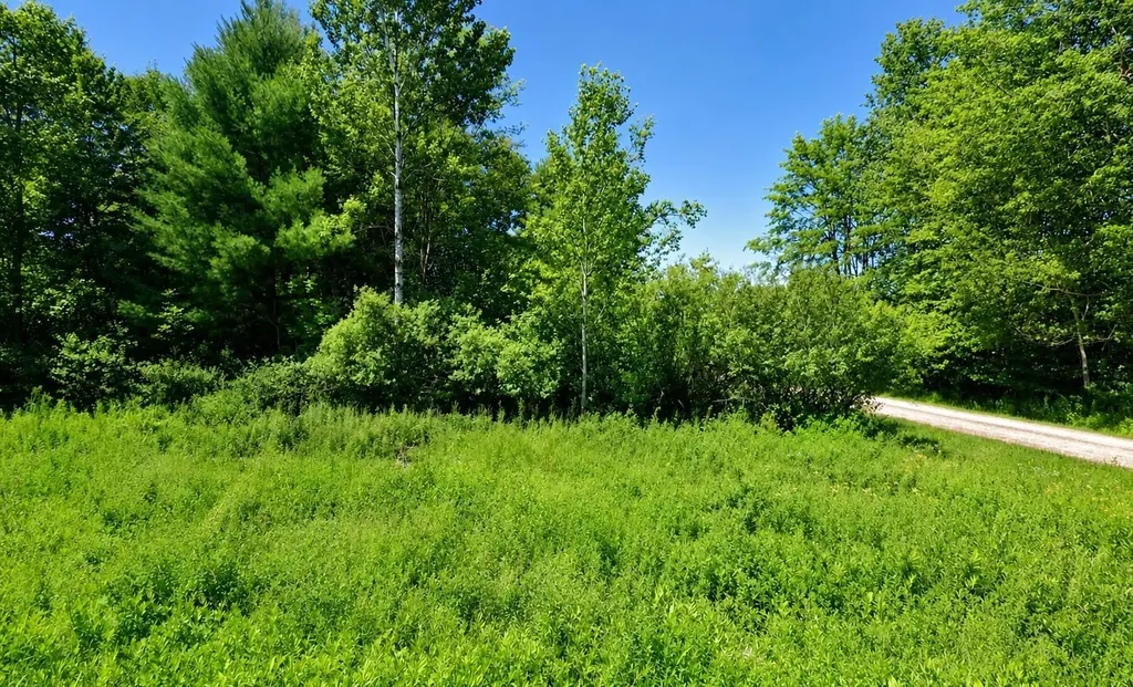 0 2nd Street Sheridan Township MI 49305