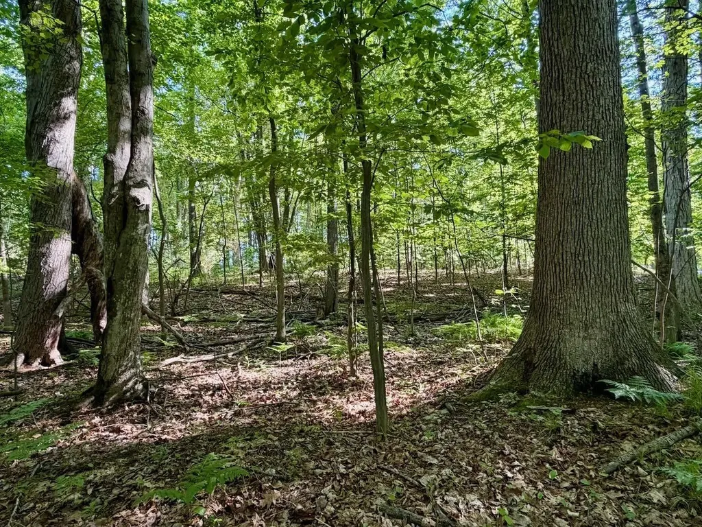12385 Baumgartner Road Swan Creek Township MI 48655