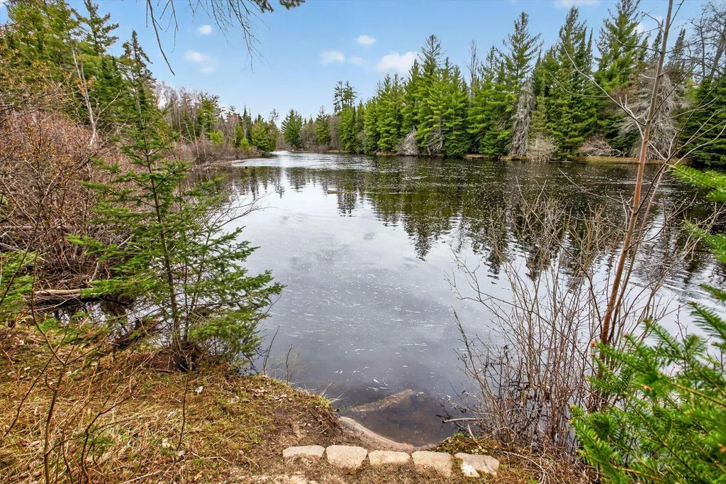 10935 Linger Longer Road South Branch Township MI 49738