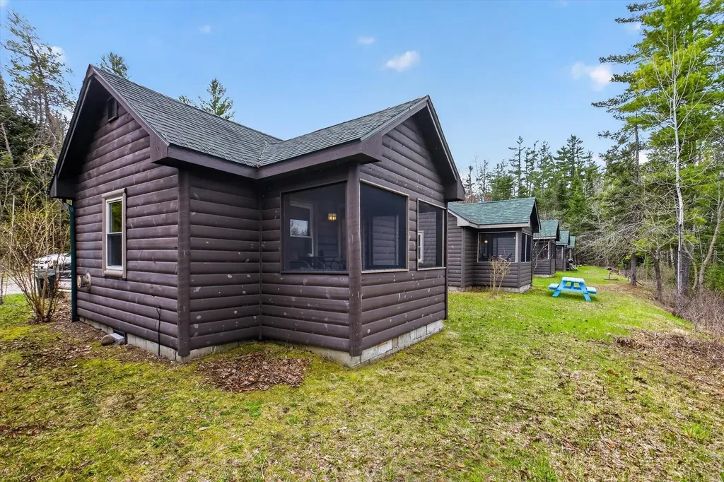 10935 Linger Longer Road South Branch Township MI 49738