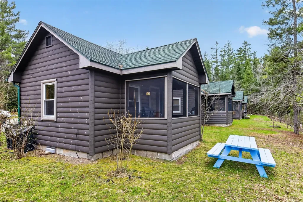 10935 Linger Longer Road South Branch Township MI 49738