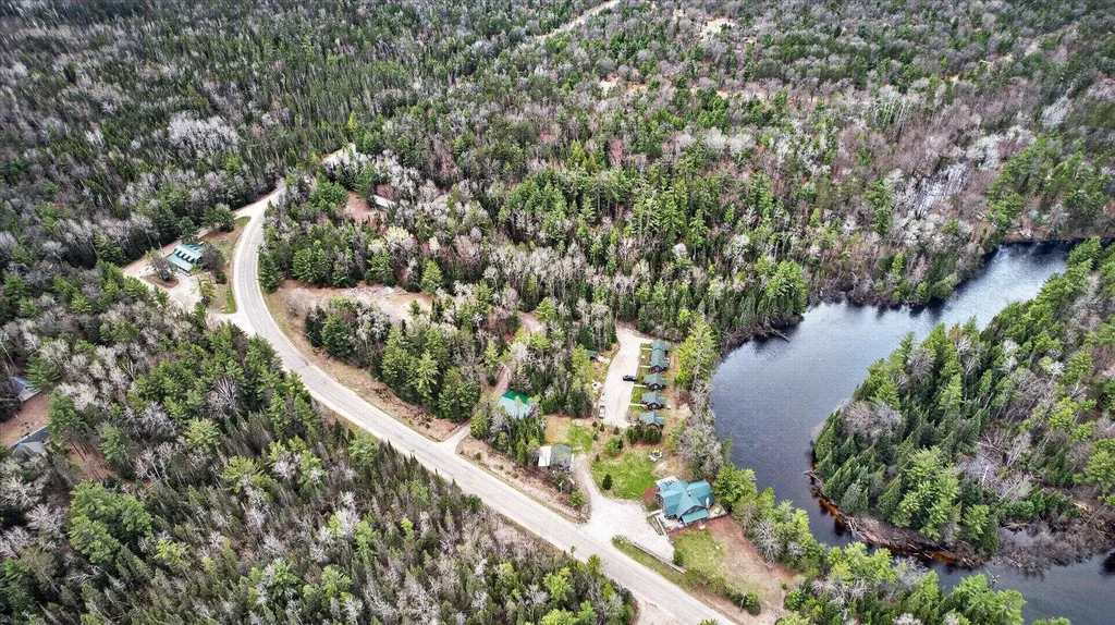 10935 Linger Longer Road South Branch Township MI 49738