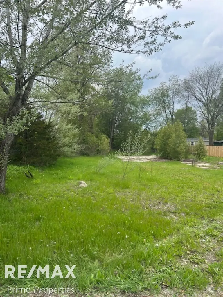 418 Locust Street Howard City Village MI 49329