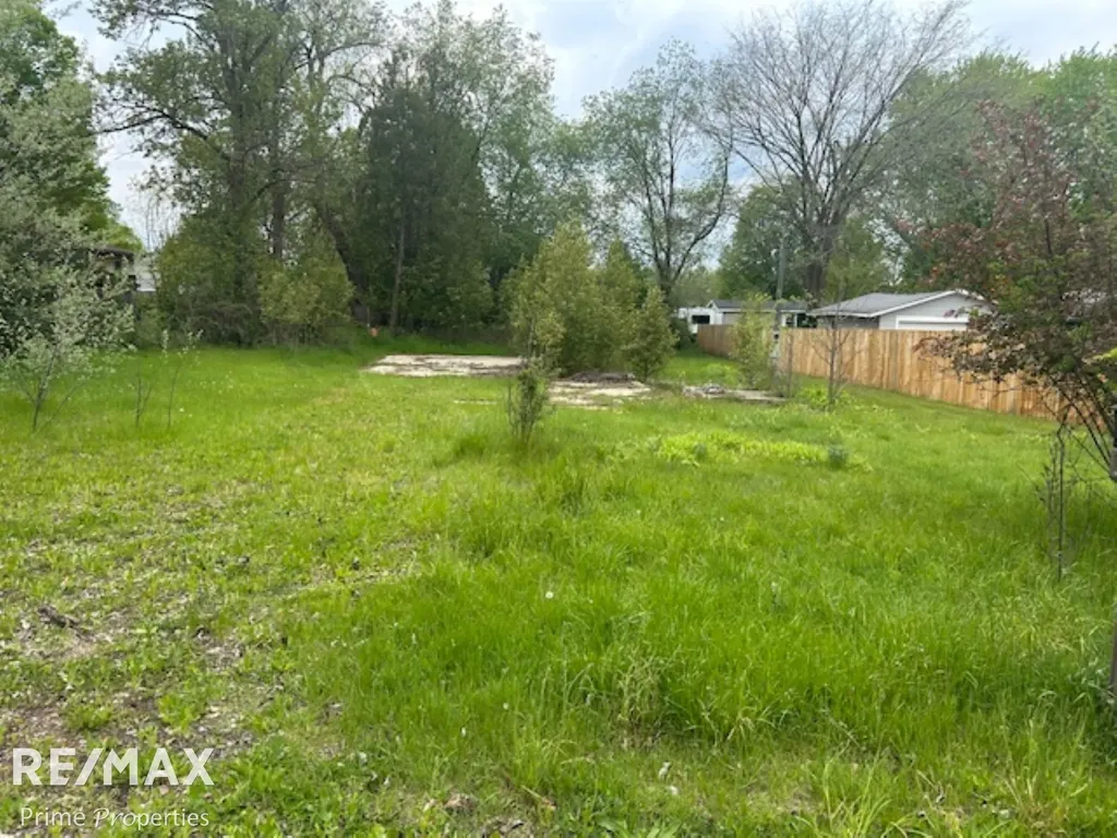 418 Locust Street Howard City Village MI 49329