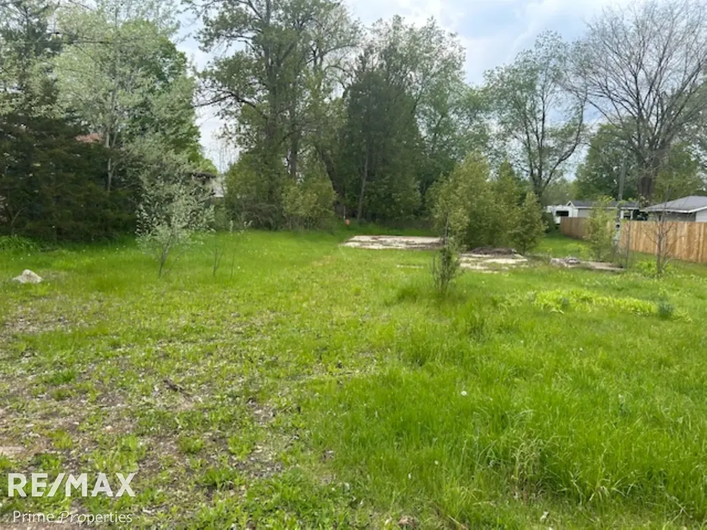 418 Locust Street Howard City Village MI 49329