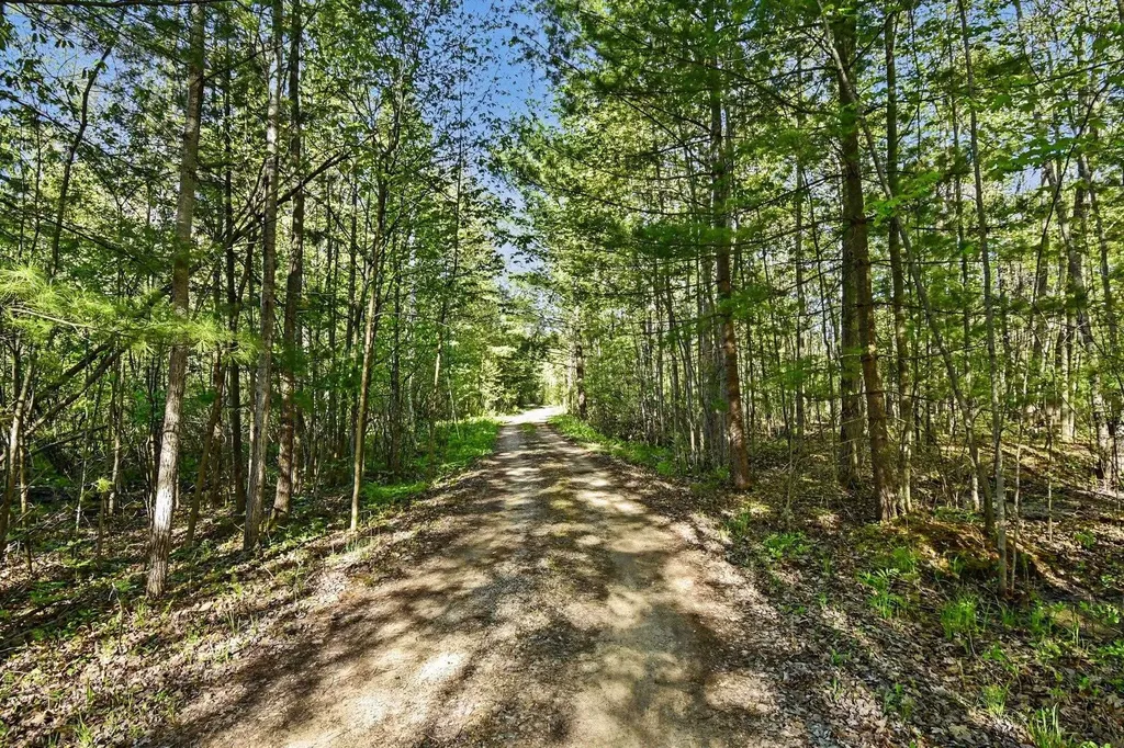 2738 Lakeshore Drive Secord Township MI 48624