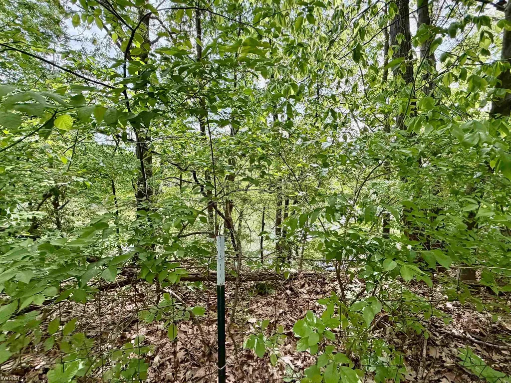 7432 River Road Flushing Charter Township MI 48433