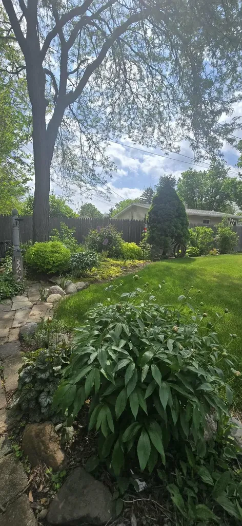 811 Thomas Street Flushing City MI 48433