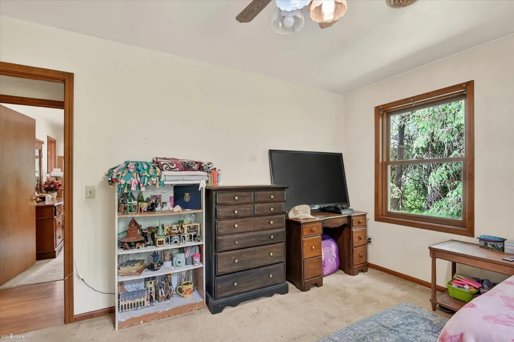 3477 Winegar Road Perry Township MI 48872