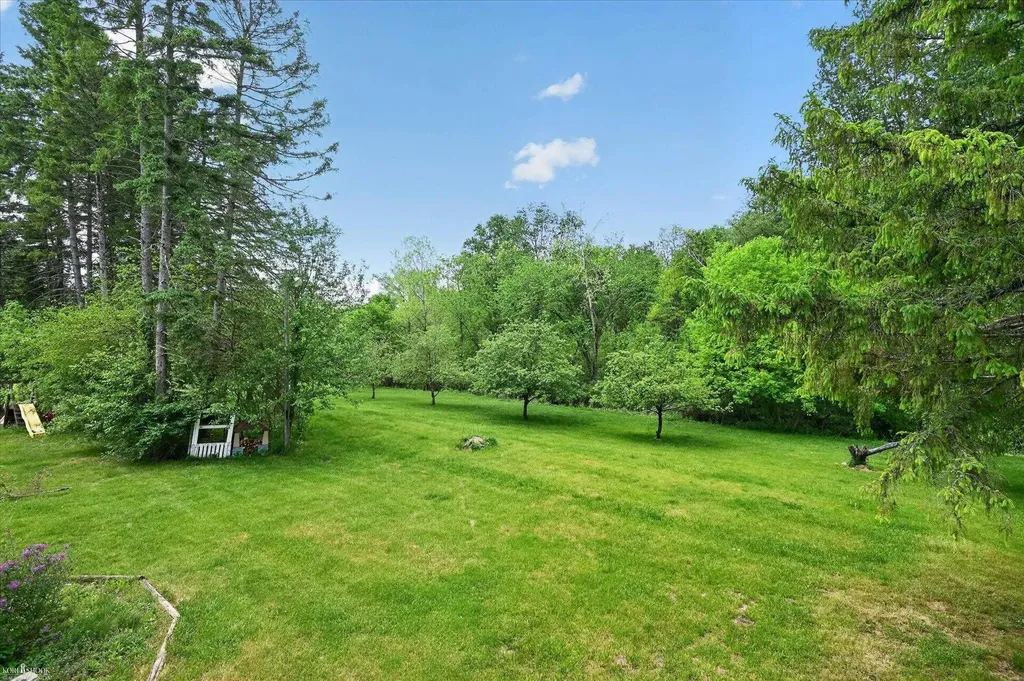 3477 Winegar Road Perry Township MI 48872