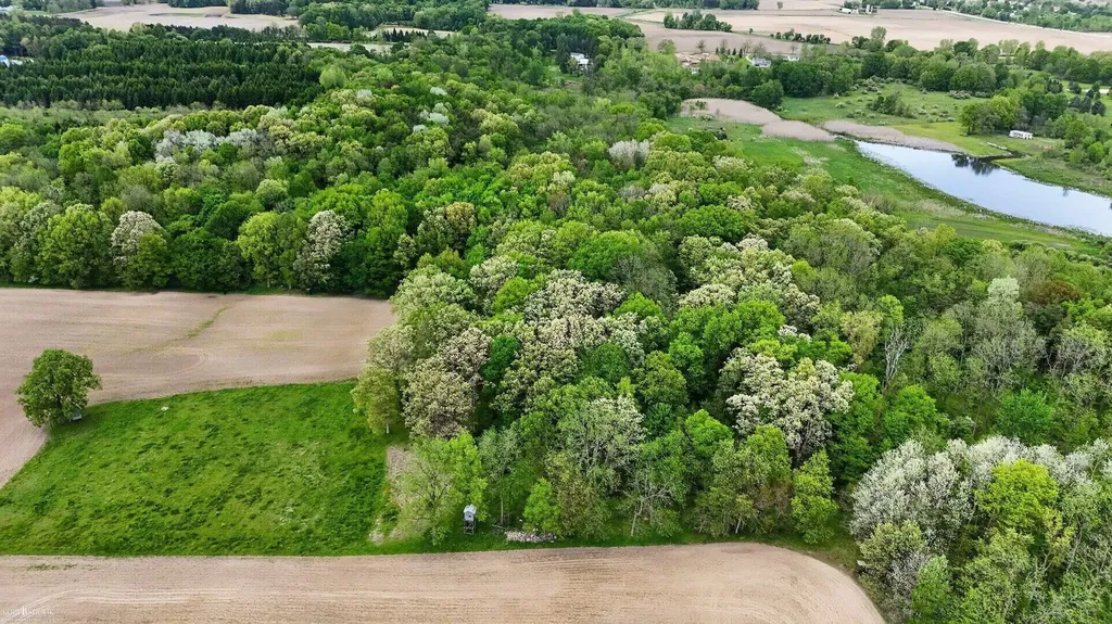 3477 Winegar Road Perry Township MI 48872