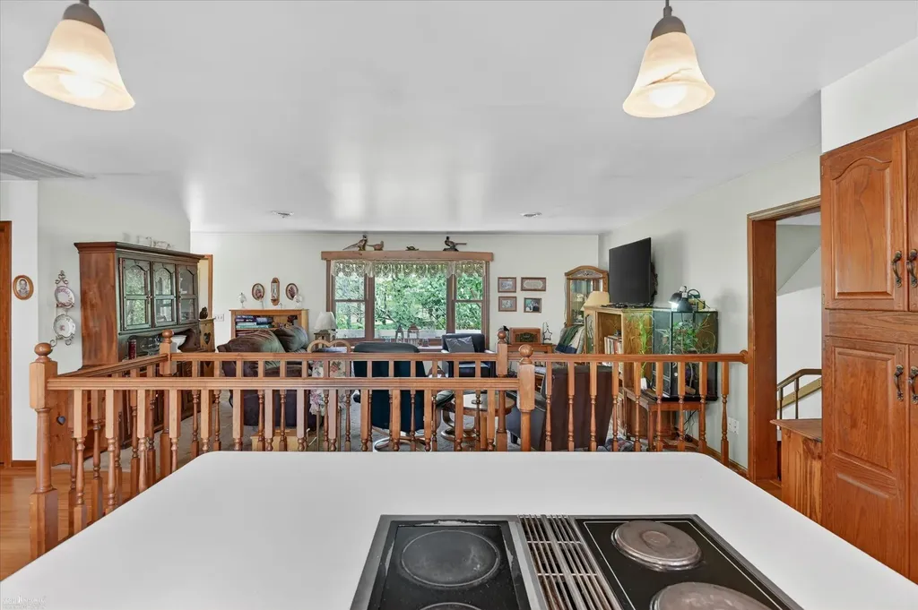 3477 Winegar Road Perry Township MI 48872