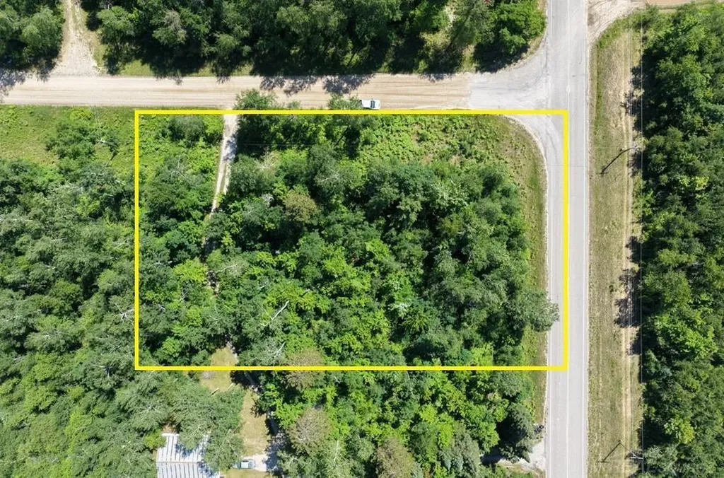Tbd Co Road 489 Briley Township MI 49709