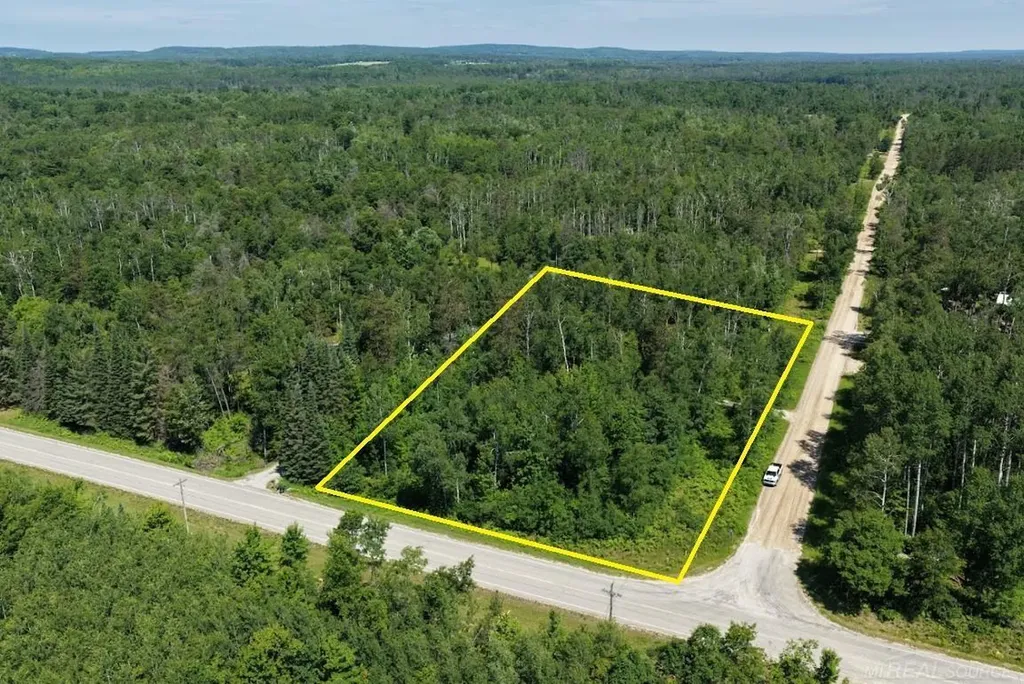 Tbd Co Road 489 Briley Township MI 49709
