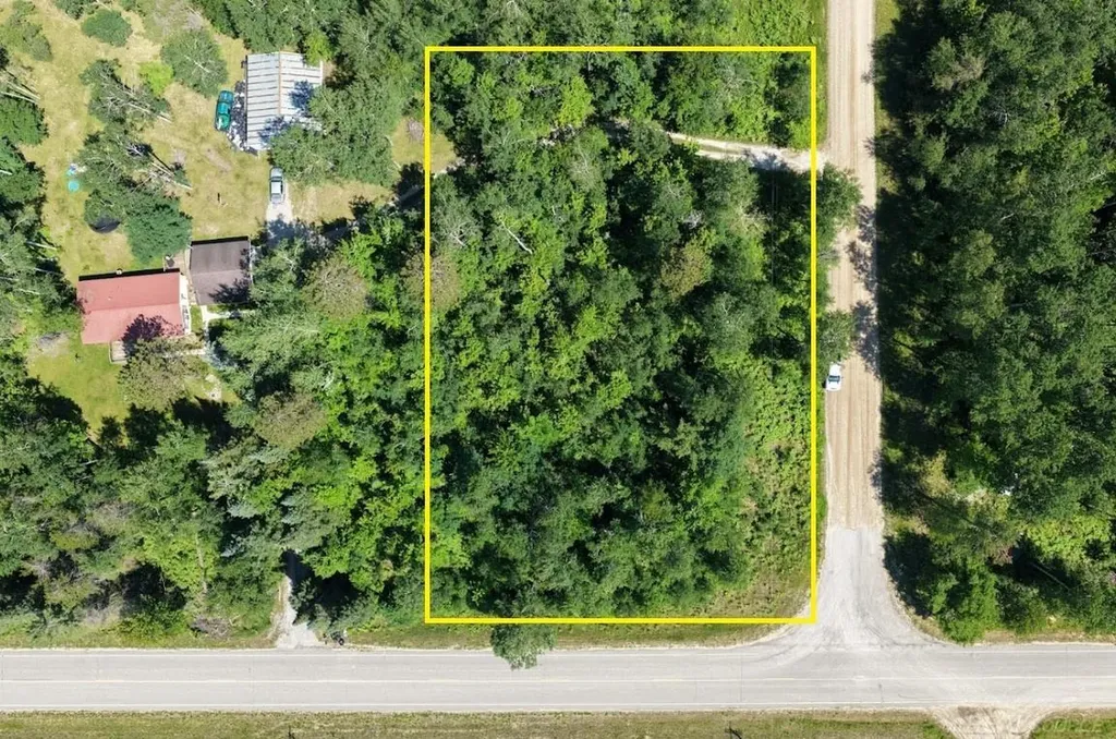 Tbd Co Road 489 Briley Township MI 49709