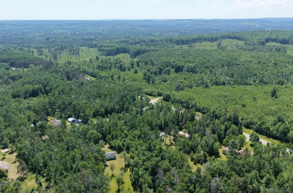 Tbd Co Road 489 Briley Township MI 49709