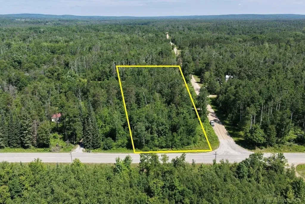 Tbd Co Road 489 Briley Township MI 49709