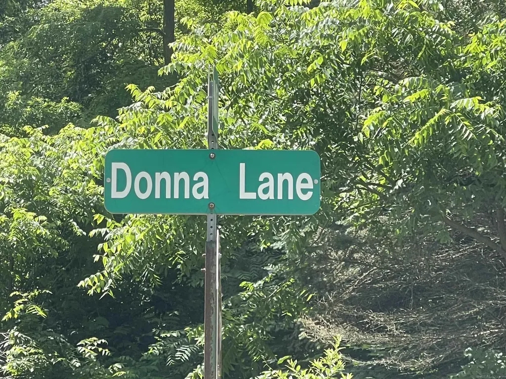 0 Donna Lane Dryden Township MI 48428