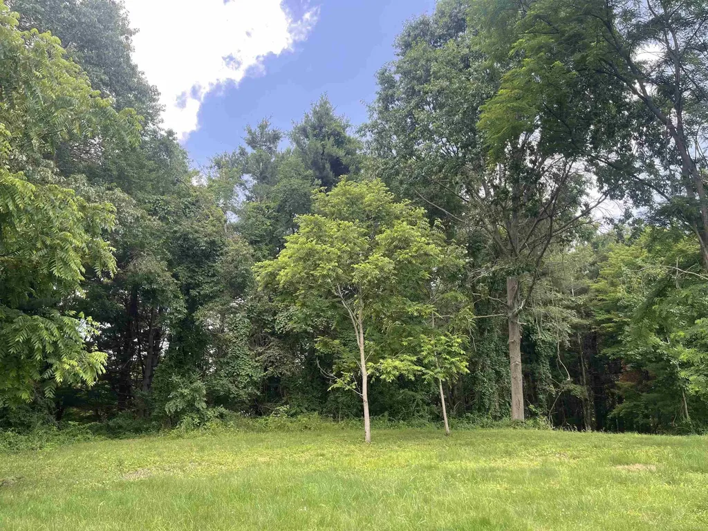 0 Donna Lane Dryden Township MI 48428