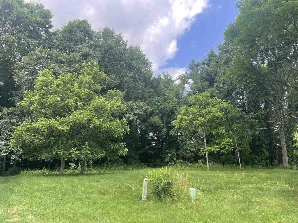 0 Donna Lane Dryden Township MI 48428