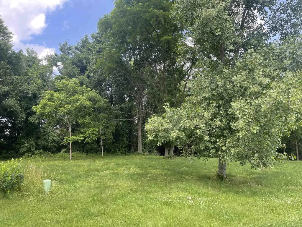 0 Donna Lane Dryden Township MI 48428
