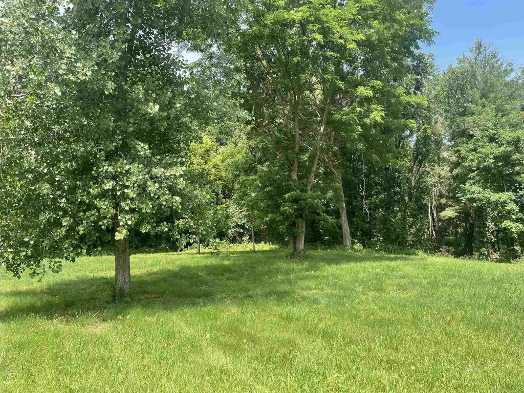 0 Donna Lane Dryden Township MI 48428