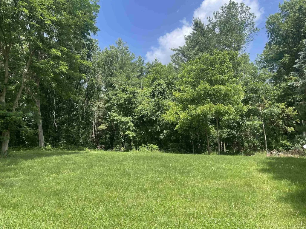 0 Donna Lane Dryden Township MI 48428