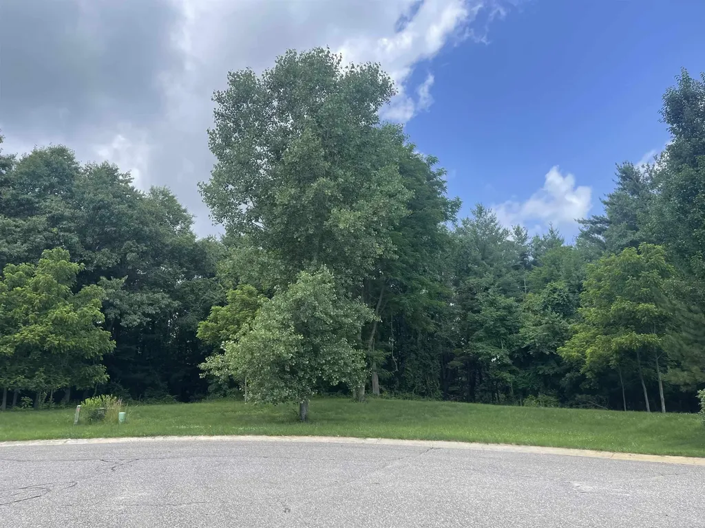 0 Donna Lane Dryden Township MI 48428