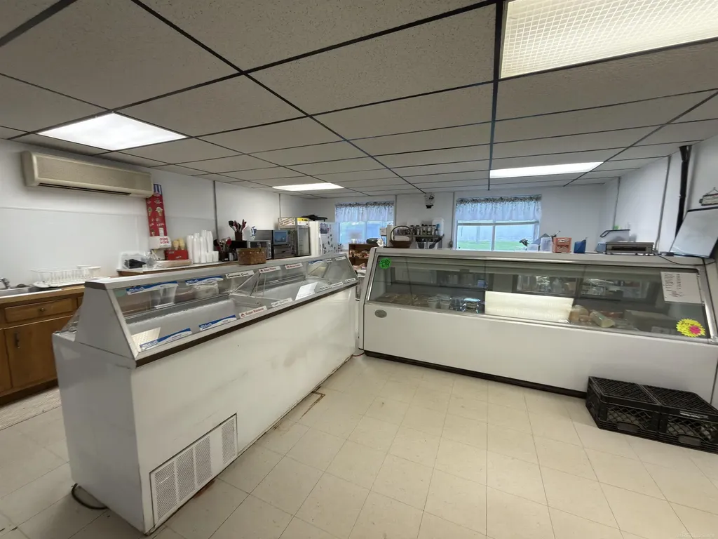 1496 Main Street Minden City Village MI 48456