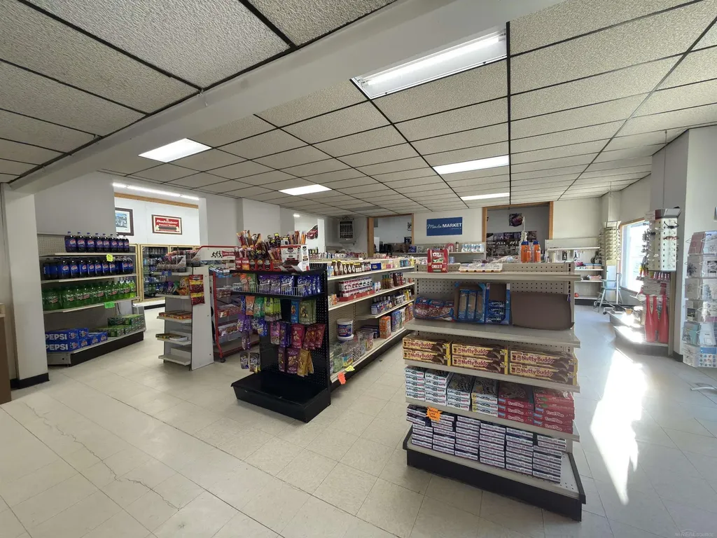 1496 Main Street Minden City Village MI 48456