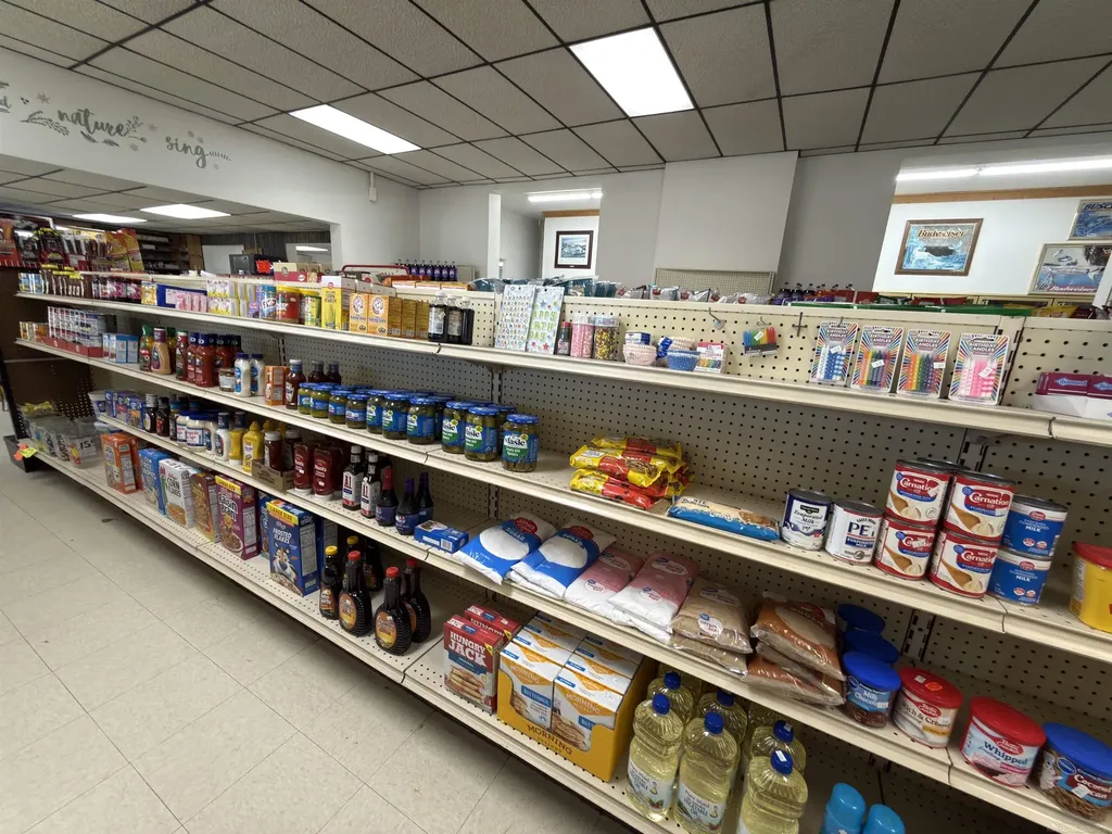 1496 Main Street Minden City Village MI 48456