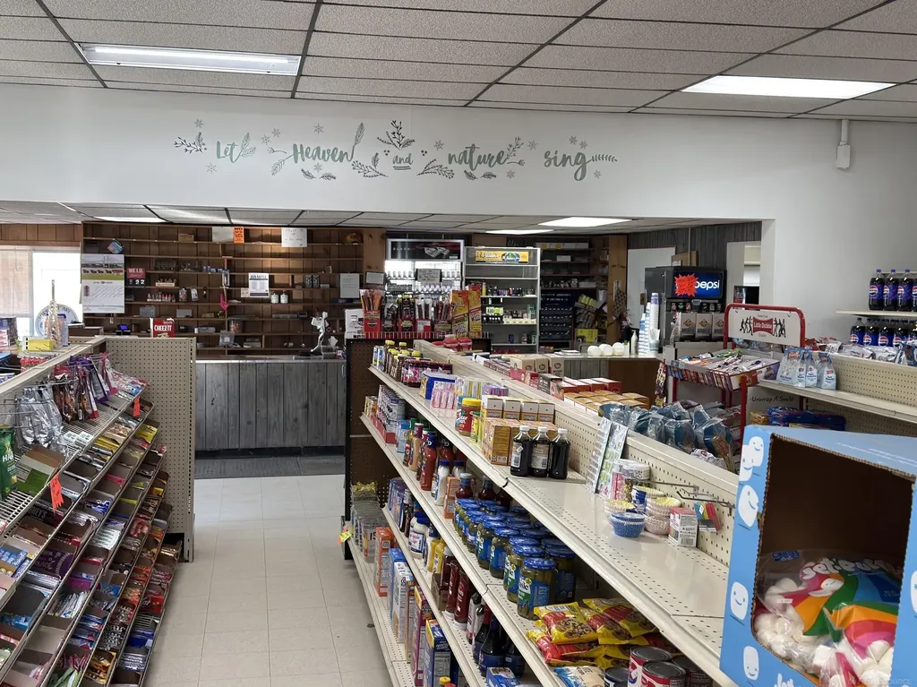 1496 Main Street Minden City Village MI 48456
