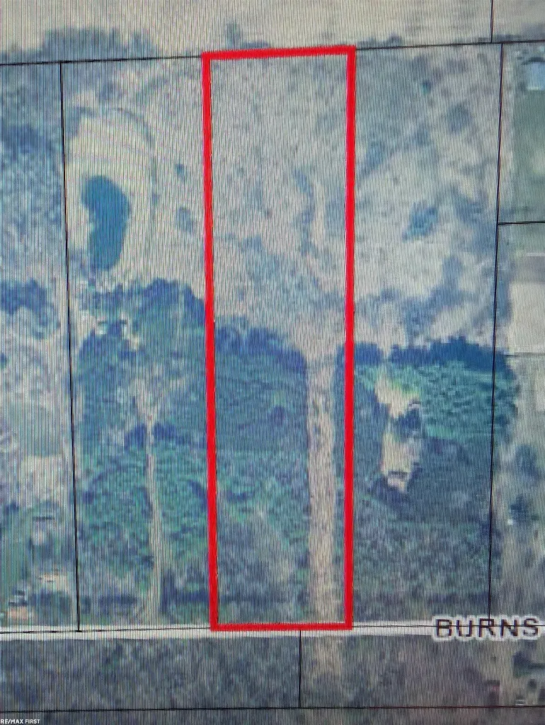 0 Burns Line Road Worth Township MI 48422