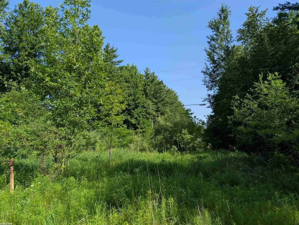 0 Burns Line Road Worth Township MI 48422