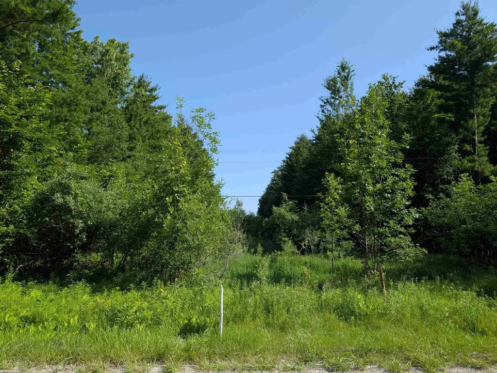0 Burns Line Road Worth Township MI 48422