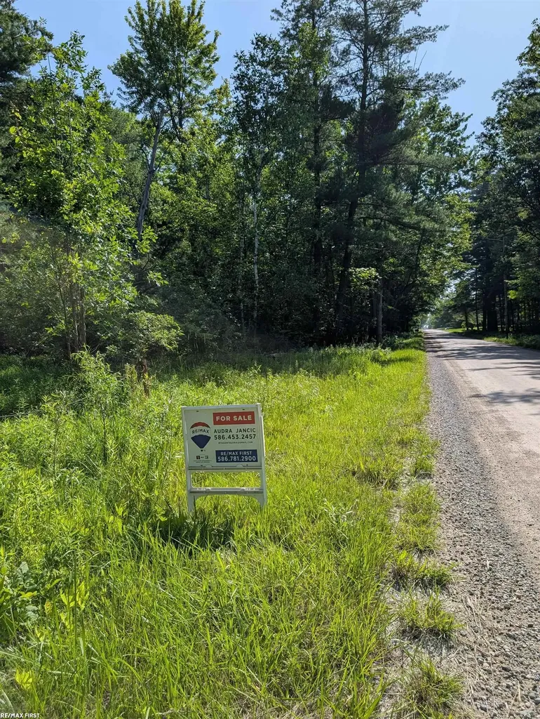 0 Burns Line Road Worth Township MI 48422