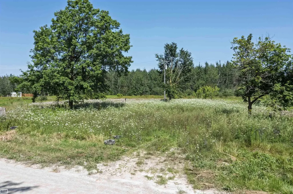 2005 Braidwood Road Riley Township MI 48041