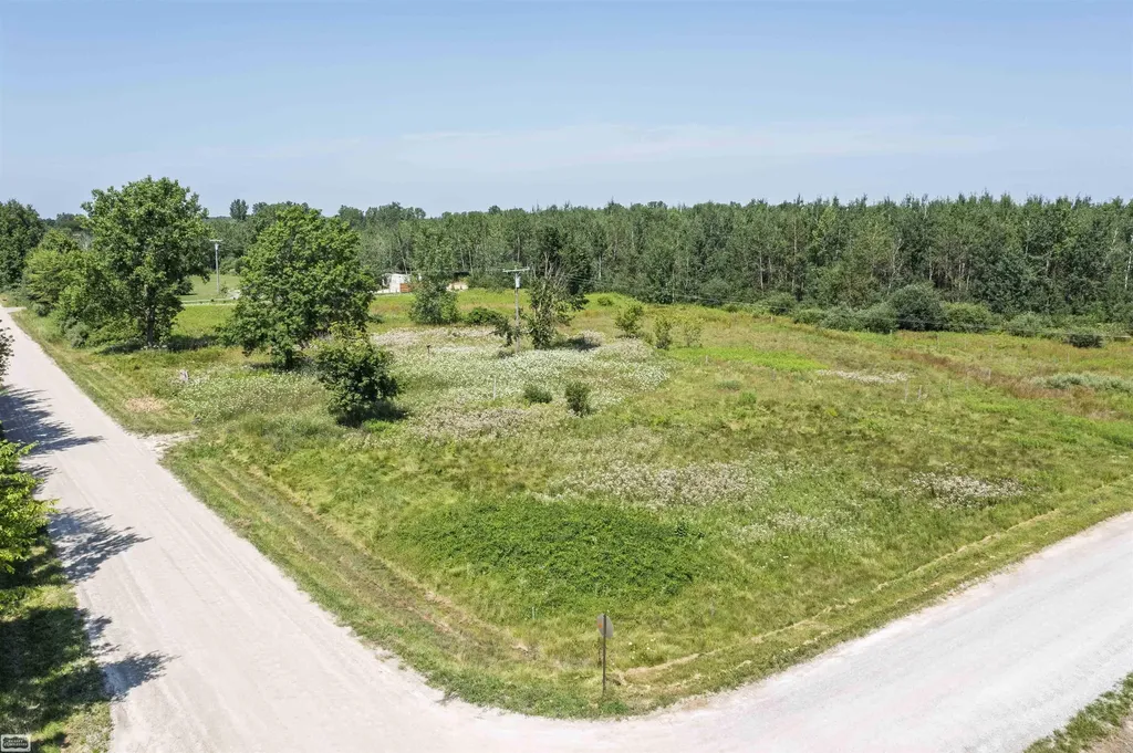 2005 Braidwood Road Riley Township MI 48041