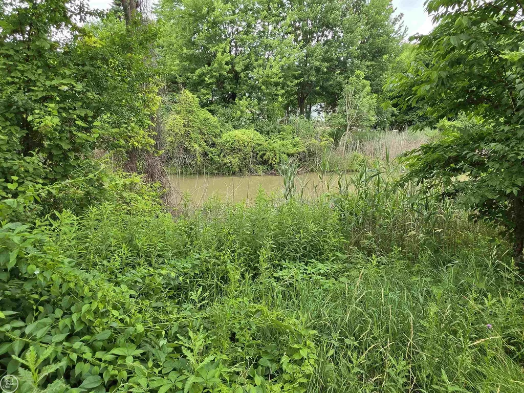 24741 Old Shook Road Harrison Charter Township MI 48045
