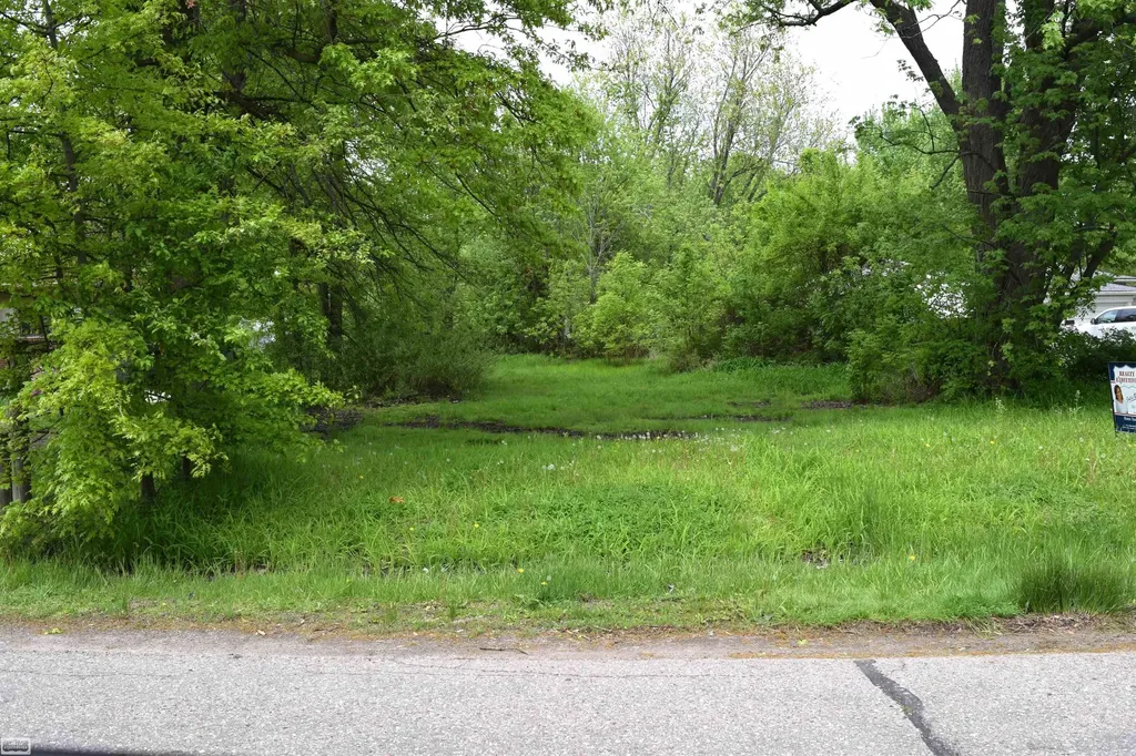 38199 Murdicks Drive New Baltimore City MI 48047