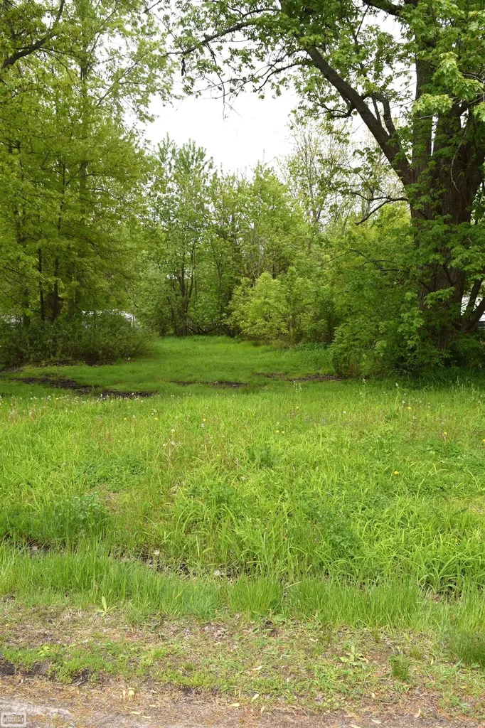38199 Murdicks Drive New Baltimore City MI 48047